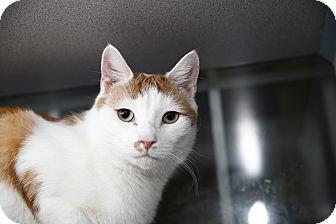 Sonny (12882593)