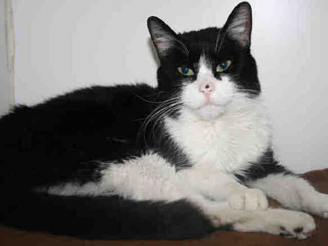 SONNY (A491313)