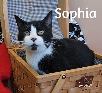 Sophia (20443473)