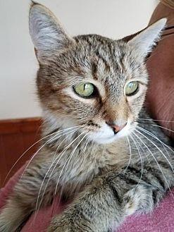 Sophie (19136361)