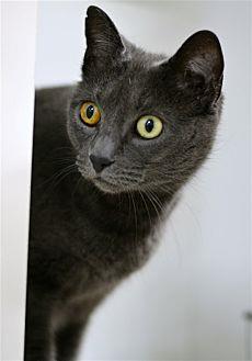 Sophie (20648744)
