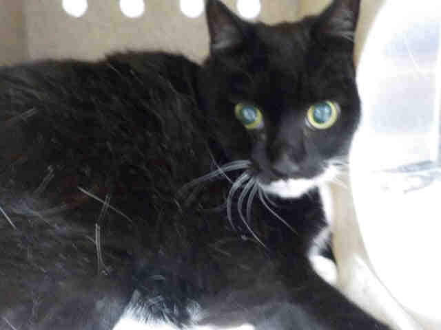 SOPHIE (A0879879)