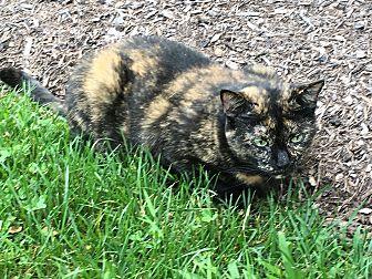 Sophie (COUR (20116405)
