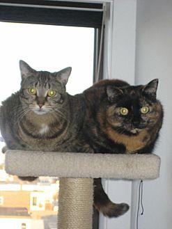 Sophie & Gra (19448090)