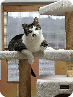 Spanky (17980902)
