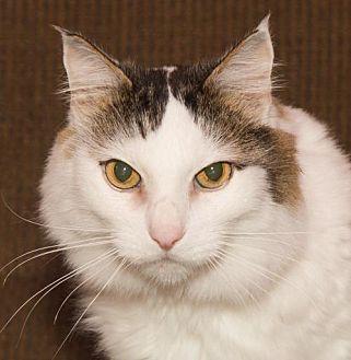 Spanky (20379774)