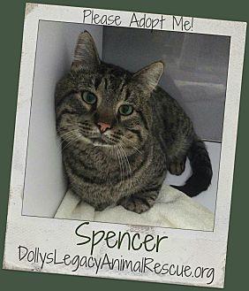 SPENCER (20320948)