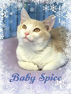 Spice (19786102)