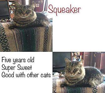 Squeaker (19980855)