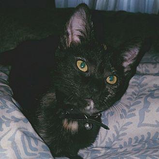 Squirt (20395645)