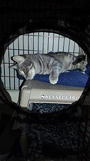 Squirt (20615049)