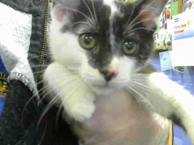 SQUIRT (A633164)