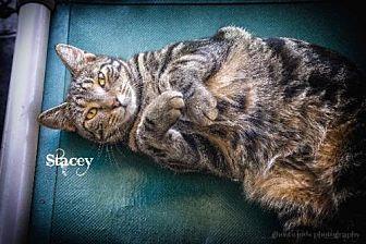 Stacey (18727718)