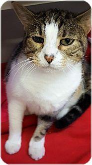 Stanley (14132770)
