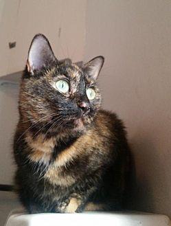 Stella (20130661)