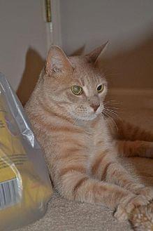 Stormie (11333724)