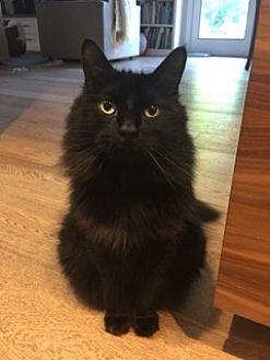 Stormy (19976895)