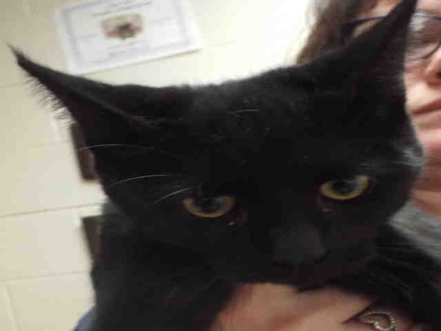 STU (A131747)