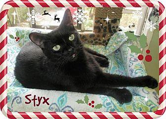 Styx (20281045)
