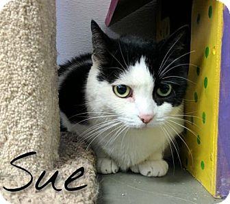 Sue (18507706)