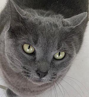 Sugar (20461657)