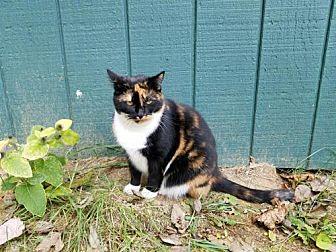 Sundae (20138888)