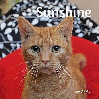 Sunshine (20443476)