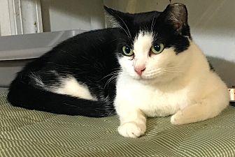Susie Q (19027991)