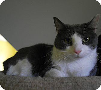 Sweet Pea (11432906)