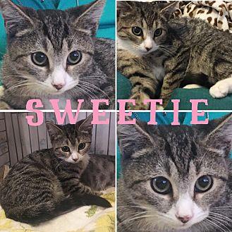 Sweetie (19760015)