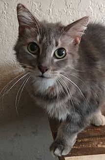 Sylvie (20314728)