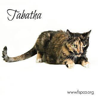 Tabatha (20302734)