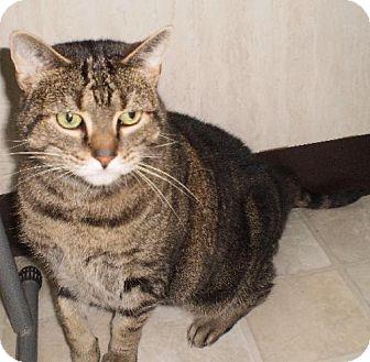 Tabitha (11468572)
