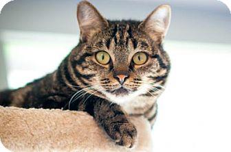 Tabitha (16978651)