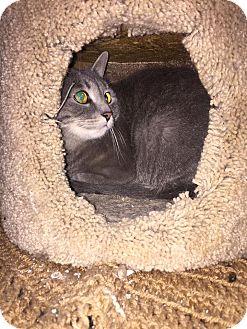 Tabitha (17991123)