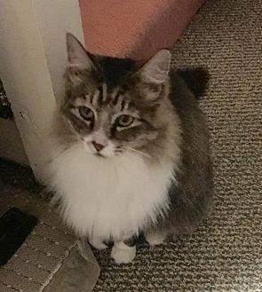 Tabitha (18685609)