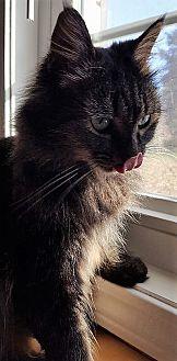 Tabitha (20093048)