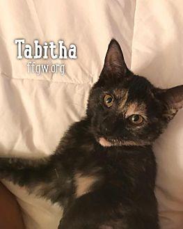 Tabitha (20241905)