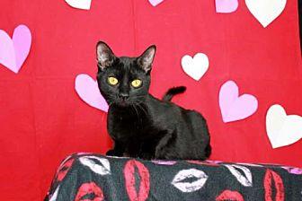 TABITHA (20614523)