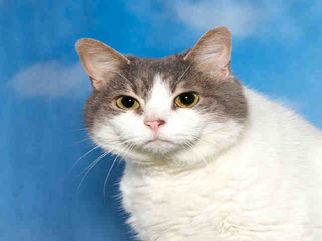 TABITHA (A011098)