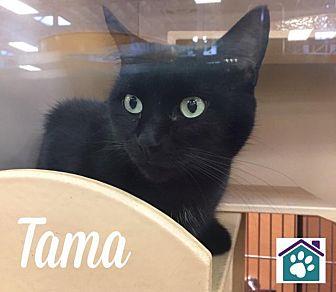 TAMA (19109639)