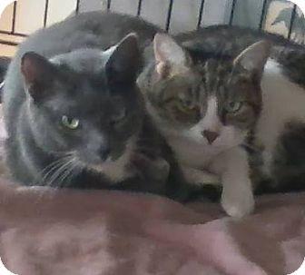 Tango and Ca (17671713)