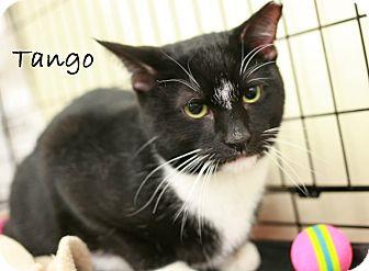 Tango & Cash (17671680)