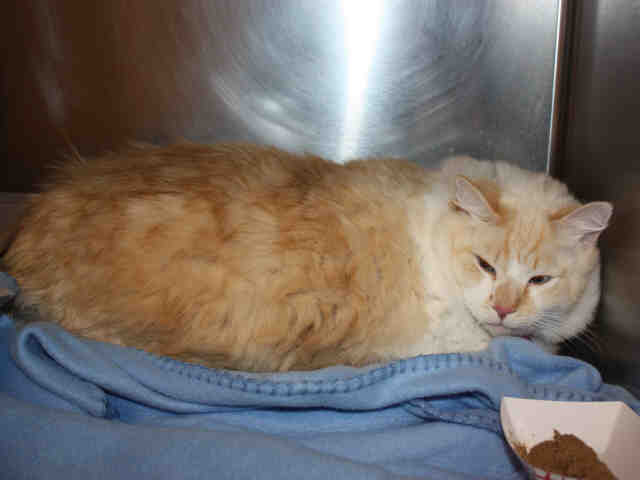TANNER (A119906)