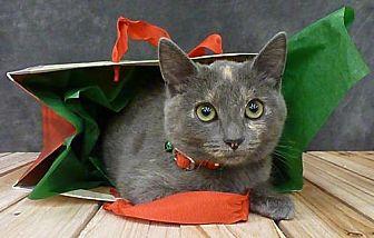 Teagan (20043220)