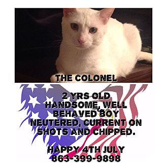 The Colonel (18625441)