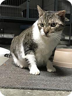 Thomas (LR) (18810296)