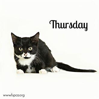 Thursday (20302726)