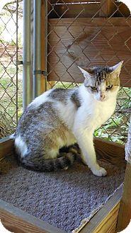 Tia (16524024)
