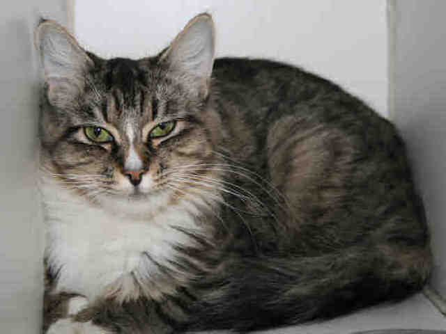 *TIFFANY (A487946)